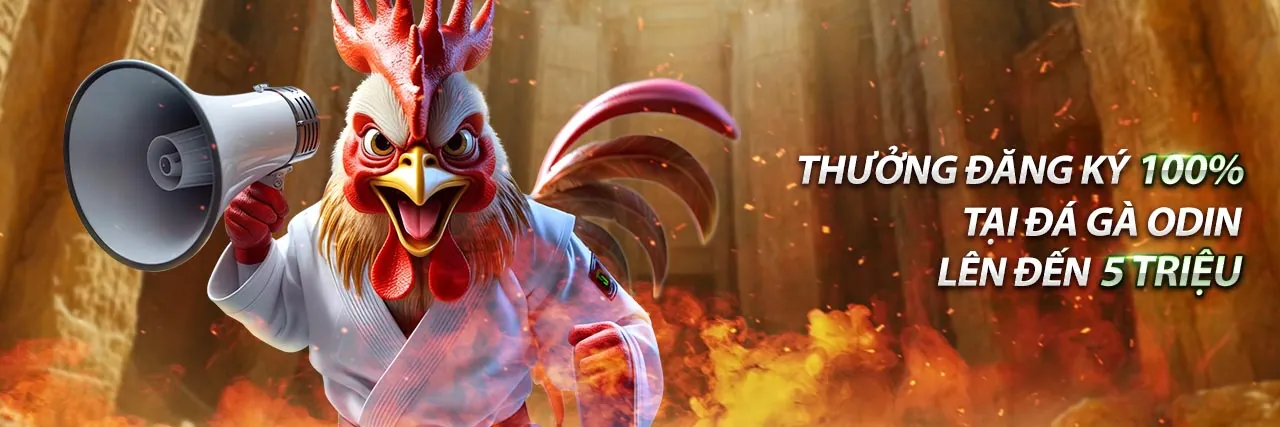 Đá gà trực tuyến bbetwin đăng nhập với không khí sôi động