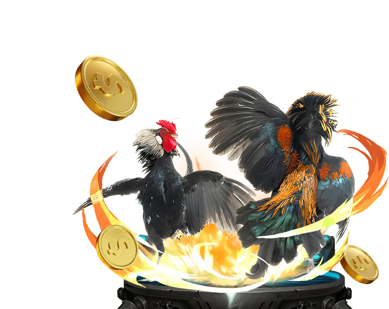 Giá trị cốt lõi và cam kết của bbetwin