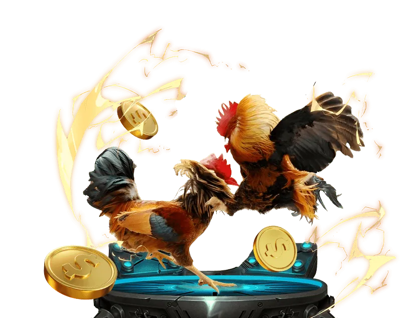 Đá gà chất lượng cao tại bbetwin